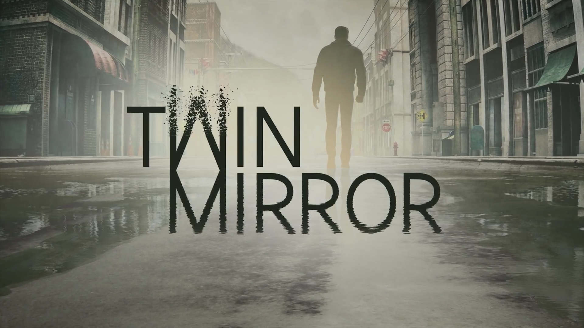 Twin Mirror